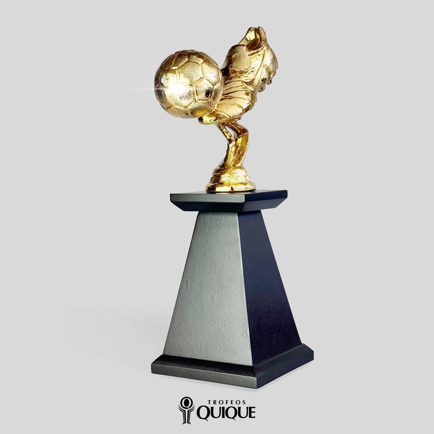 CAMPEÓN GOLEADOR #2